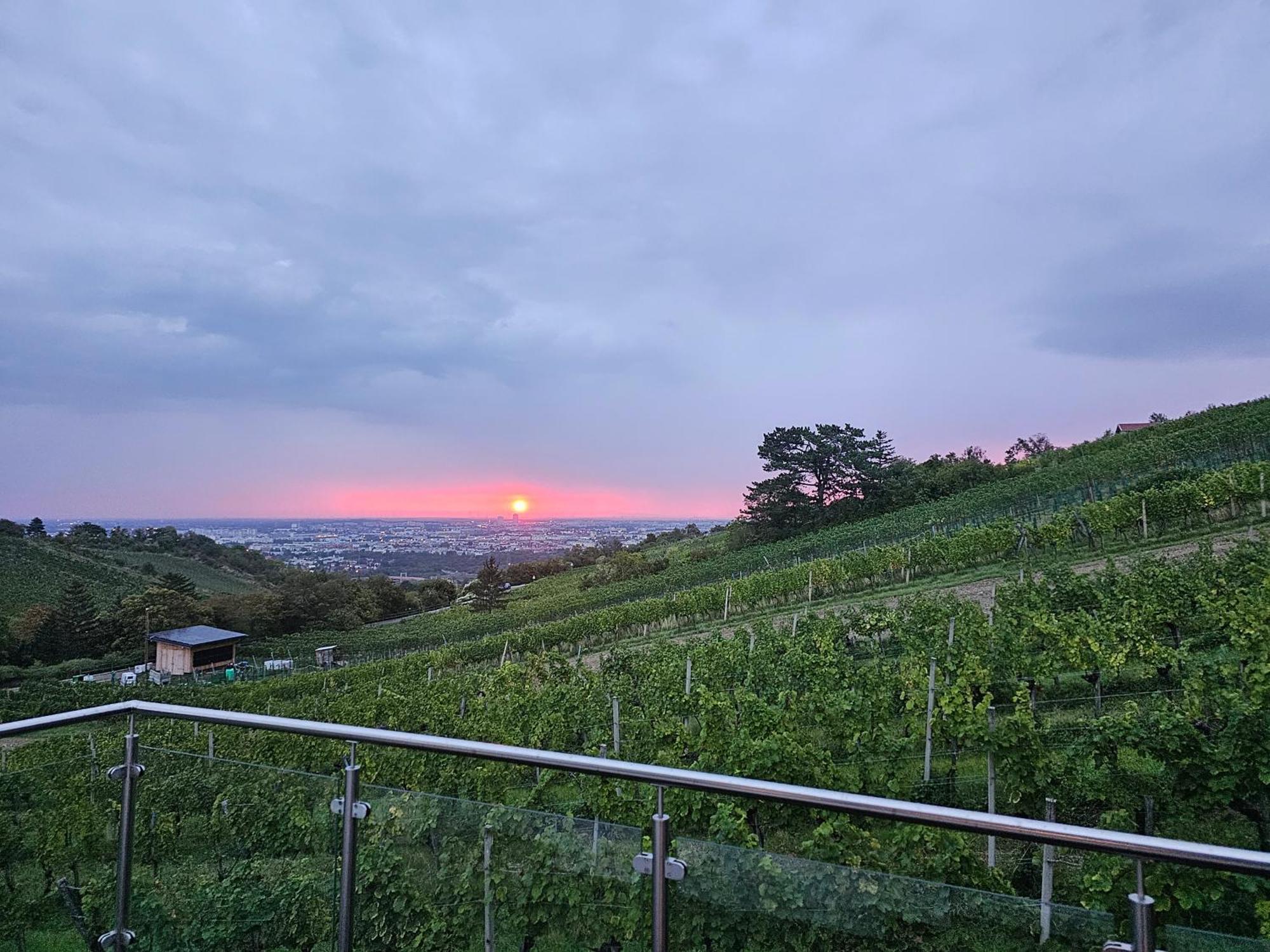 Wine Garden House Ferienhaus *