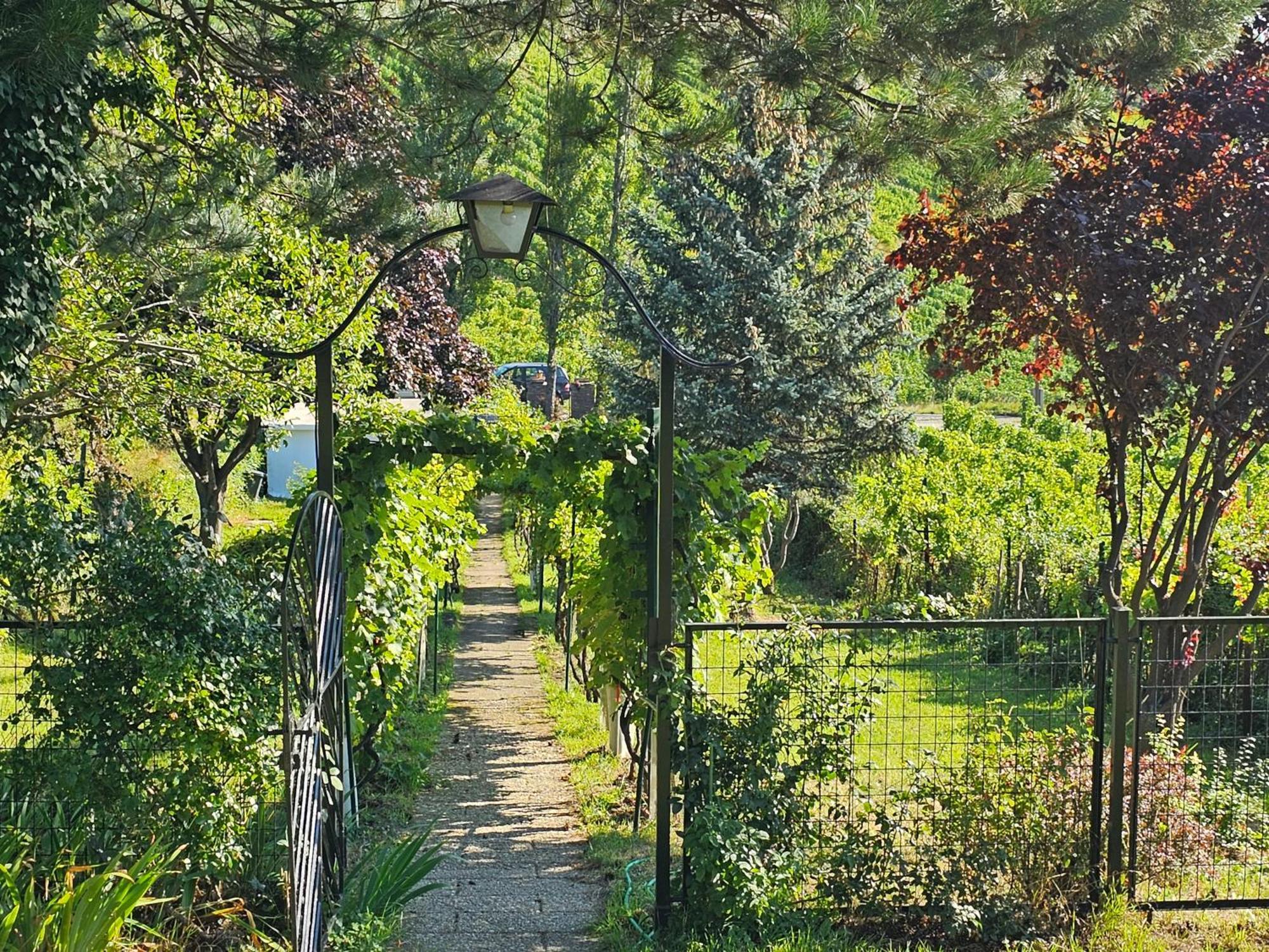 Wine Garden House Ferienhaus Wien