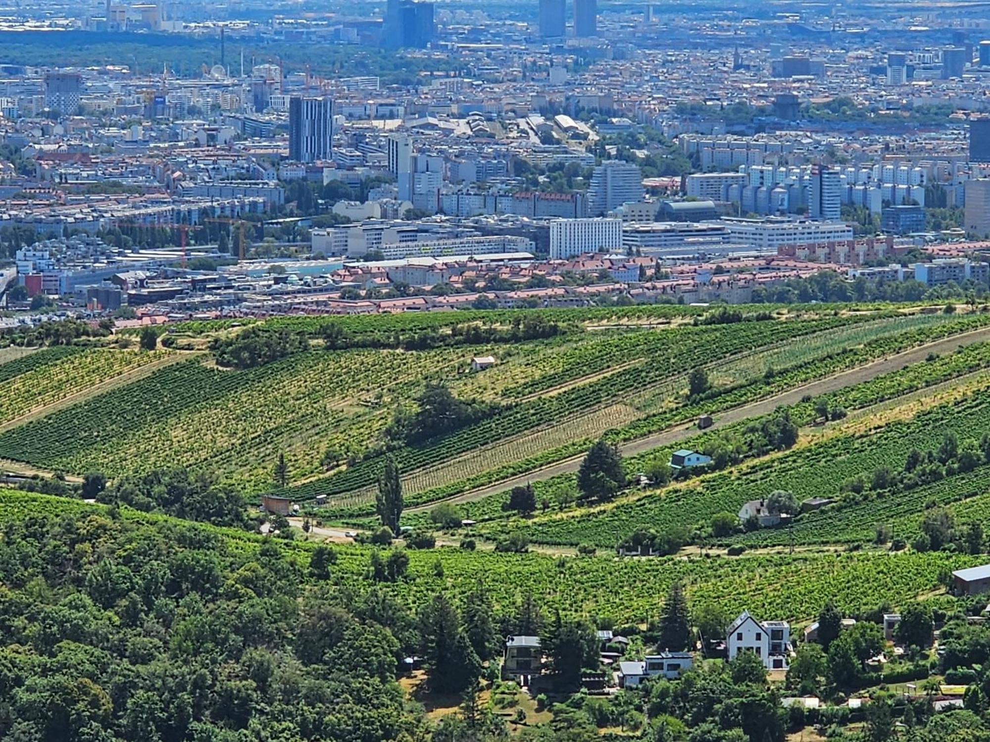Wine Garden House Ferienhaus Wien