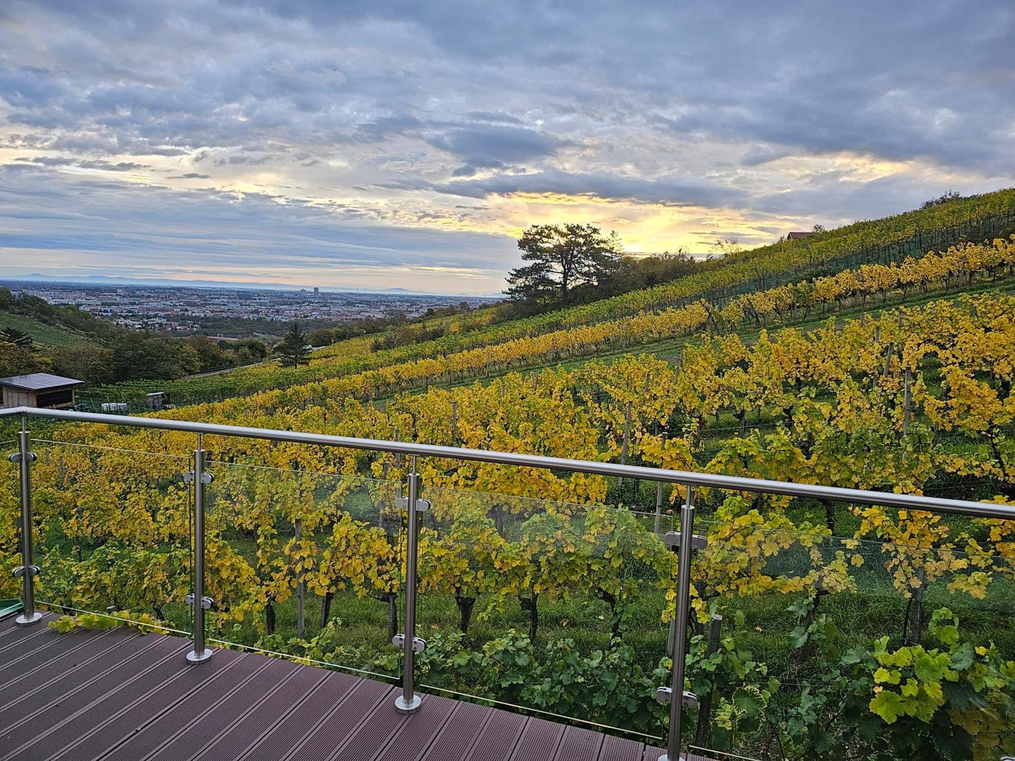 Wine Garden House *